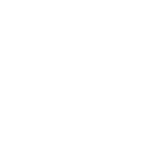 icon1